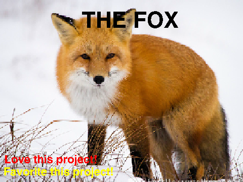 What Does the Fox Say Emily 正在Scratch