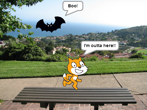 Scratch Project