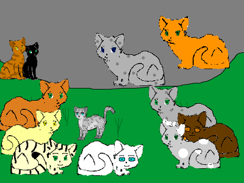 Warrior Cats Power Of Three Game