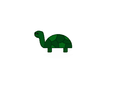 turtle.