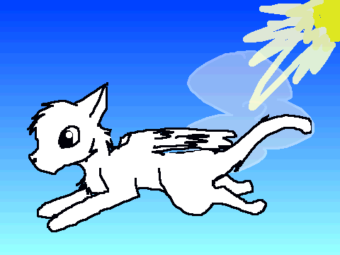 cat flight cycle