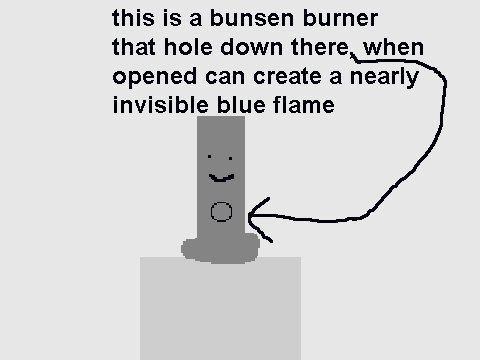 the bunsen burner