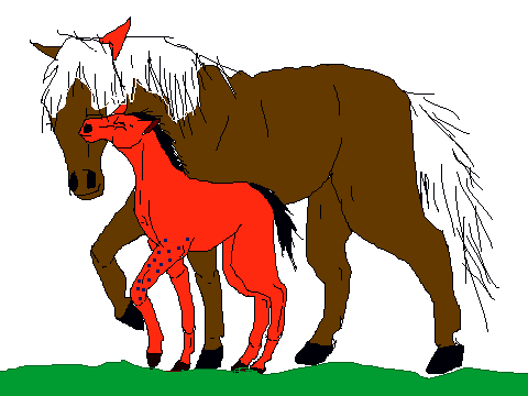 mare and foal coloring contest