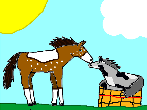 mare and foal coloring contest please enter