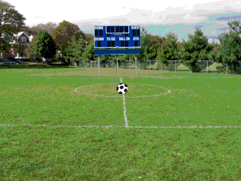 soccerfield图片