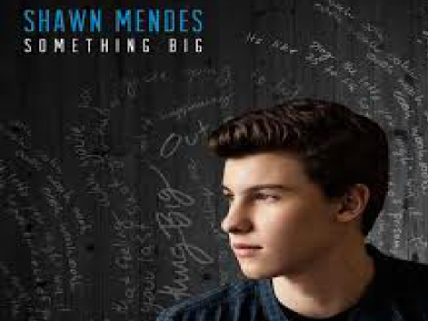 Shawn Mendes ~ Something Big on Scratch