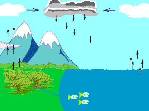 water cycle with titles on Scratch