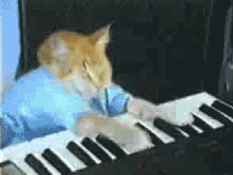 keyboard cat wtf boom on Scratch